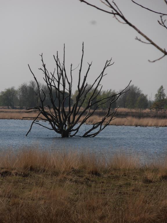 Gezond Boeren Verstand Dalerveen ภายนอก รูปภาพ