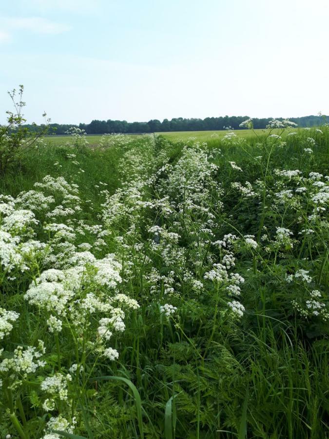Gezond Boeren Verstand Dalerveen ภายนอก รูปภาพ